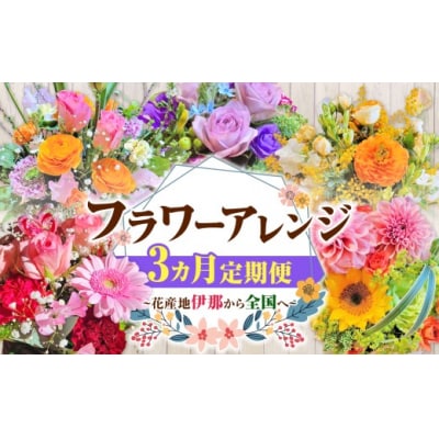 【3ヶ月定期便】フラワーアレンジ(ギフトにも)花の名産地伊那から全国へ　旬の切り花を1鉢お届け