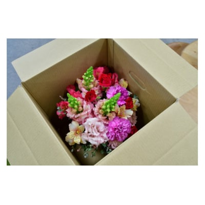 【6ヶ月定期便】フラワーアレンジ(ギフトにも)花の名産地伊那から全国へ　旬の切り花を1鉢お届け