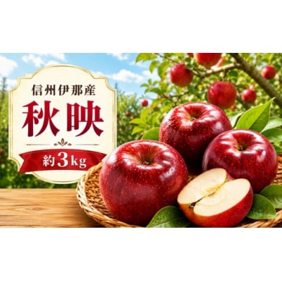 信州伊那産　りんご　秋映　約3kg