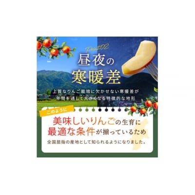 信州伊那産　りんご　秋映　約3kg