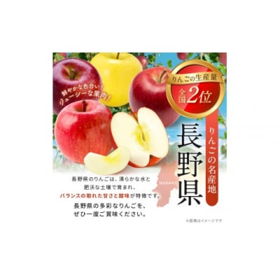 信州伊那産　りんご　秋映　約3kg