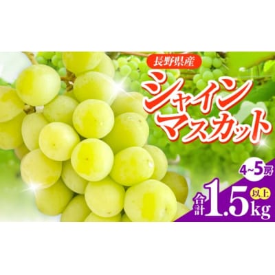 信州伊那産　シャインマスカット4-5房　合計1.5kg