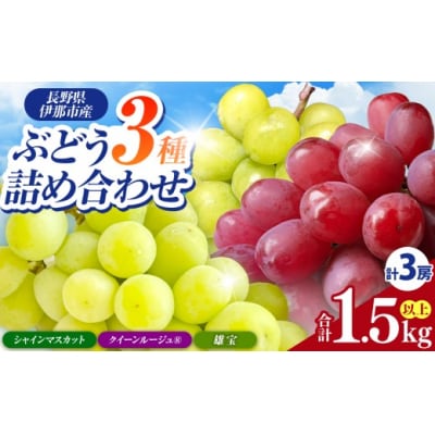 信州伊那産ぶどう3種食べ比べ(約1.5kg)シャイマス1房、クイーンルージュ1房、雄宝1房、全3房