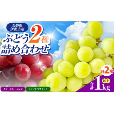 信州伊那産ぶどう2種食べ比べ(約1.0kg)シャインマスカット1房、クイーンルージュ1房、全2房