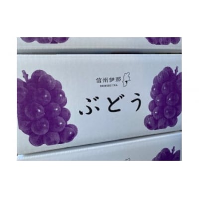 信州伊那産ぶどう2種食べ比べ(約1.0kg)シャインマスカット1房、クイーンルージュ1房、全2房