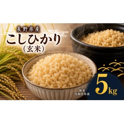 令和8年産　伊那市産コシヒカリ玄米　5kg