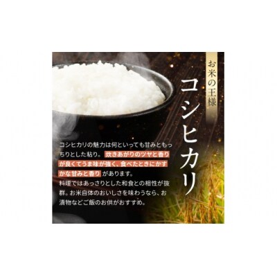令和8年産　伊那市産コシヒカリ玄米　5kg