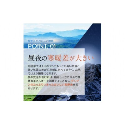 令和8年産　伊那市産コシヒカリ玄米　10kg(5kg×2)