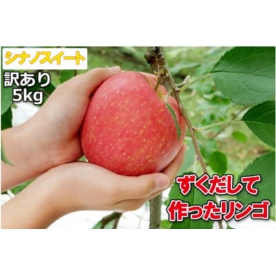伊那市田原産 リンゴ シナノスイート 訳あり 約5kg