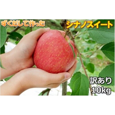伊那市田原産 リンゴ シナノスイート 訳あり 約10kg