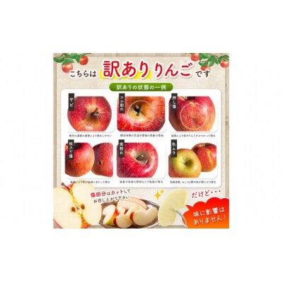 伊那市田原産 リンゴ シナノスイート 訳あり 約10kg