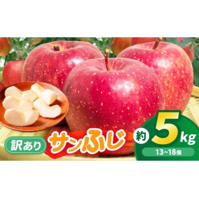 伊那市田原産 リンゴ サンふじ 訳あり 約5kg