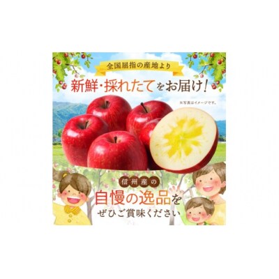 伊那市田原産 リンゴ サンふじ 訳あり 約5kg