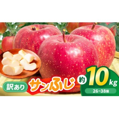 伊那市田原産 リンゴ サンふじ 訳あり 約10kg