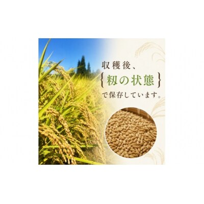 令和8年伊那市産コシヒカリ　3kg　めうてんぽ農園のこだわり米