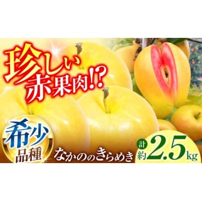 赤果肉りんご なかののきらめき 約2.5kg