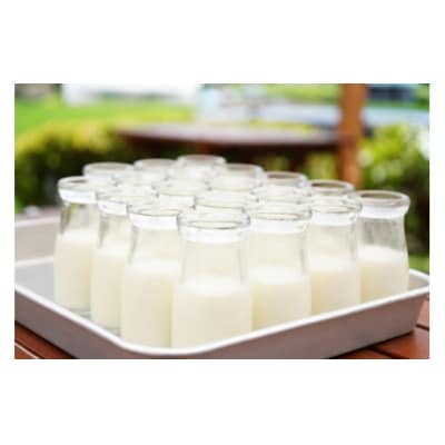 信州伊那谷いちごみるくの贅沢プリン　12個入