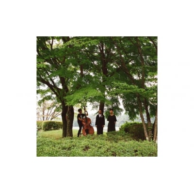 あをとまこ/今日の聲、明日の聲　CDアルバム