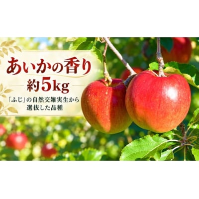 信州のりんご　あいかの香り　5キロ