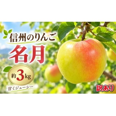 信州のりんご　名月　訳あり　約3kg