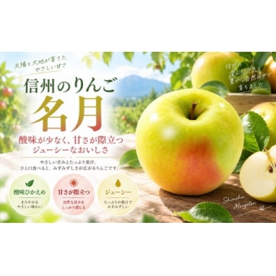 信州のりんご　名月　訳あり　約3kg