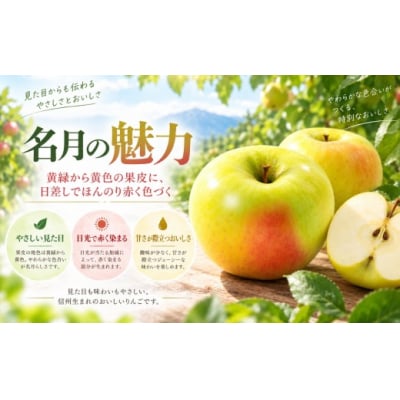 信州のりんご　名月　訳あり　約3kg