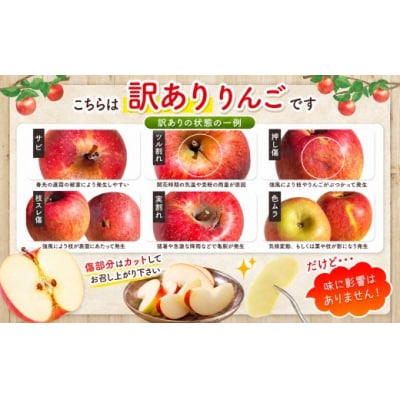 信州のりんご　名月　訳あり　約3kg