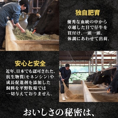 【のし付き】特選和牛〈焼肉薩摩 完熟平野幸一之牛〉ハンバーグ10個
