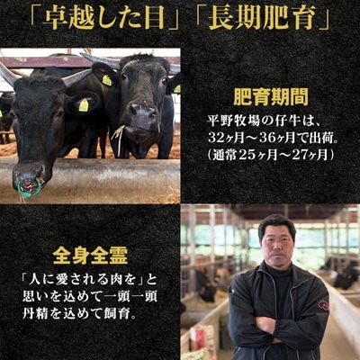 【のし付き】特選和牛〈焼肉薩摩 完熟平野幸一之牛〉ハンバーグ10個