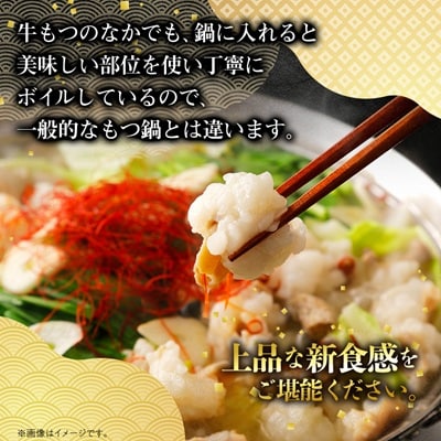 【のし付き】焼肉薩摩 特製もつ鍋(5～6人前)