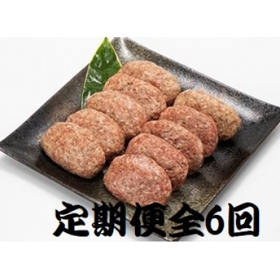 【2ヵ月毎定期便】特選和牛(焼肉薩摩の完熟平野幸一之牛)ハンバーグ10個全6回