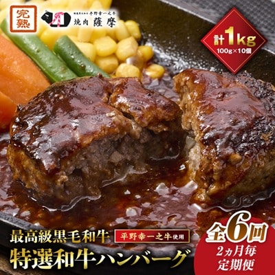 【2ヵ月毎定期便】特選和牛(焼肉薩摩の完熟平野幸一之牛)ハンバーグ10個全6回