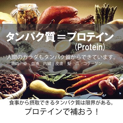 プロテイン100　ワイルドフィット　抹茶風味