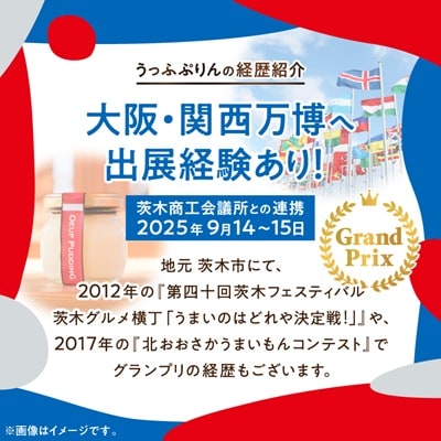 【大阪・関西万博出展】元祖うっふぷりんカラメルソース　12個セット
