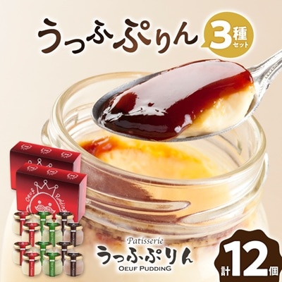 うっふぷりんバラエティパック　12個セット