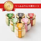 うっふぷりん6種セット　12個入