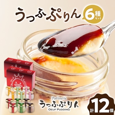 うっふぷりん6種セット　12個入