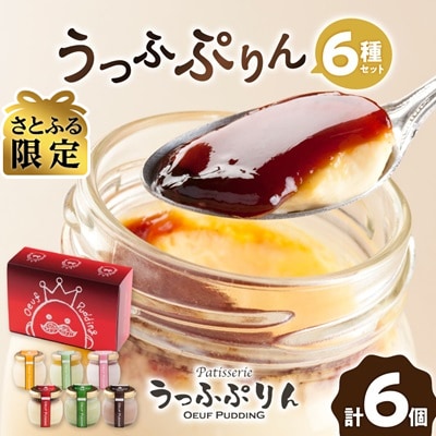 【さとふる限定】うっふぷりん6種セット　6個入