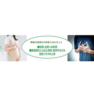 葉酸代謝遺伝子検査キット