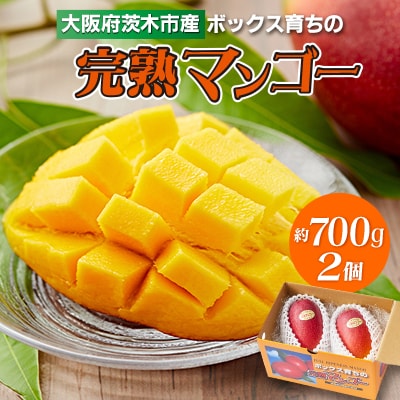 大阪府産小川農園の《贈答用》完熟マンゴー〈2個入〉約700g【R7
