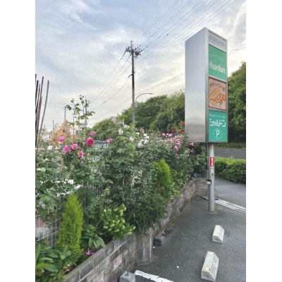 パン屋の焼き菓子 パウンドバラエティセット