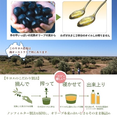 【ファーストクラスでも採用された】『キヨエ』 エキストラバージンオリーブオイル　500ml×6本