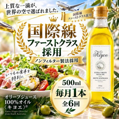 【毎月定期便】毎日の食卓をちょっと贅沢に。かけるだけでおいしい キヨエ 500ml × 1本全6回