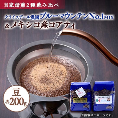 自家焙煎ブルーマウンテンNo1クライスデール農園ハーフブレンドとメキシコ産コアティー各200g