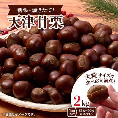【1.8kg】新栗ビックサイズ!!焼きたて!!天津甘栗　大粒サイズ　期間限定でお届けします。