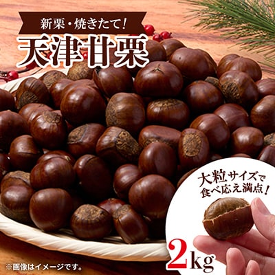 【2kg】新栗ビックサイズ!!焼きたて!!天津甘栗　大粒サイズ　期間限定でお届けします。