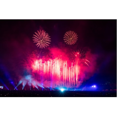 第5回万博夜空がアートになる日 花火鑑賞チケット パノラマシート大人ペア(大阪北摂エリア共通返礼品)