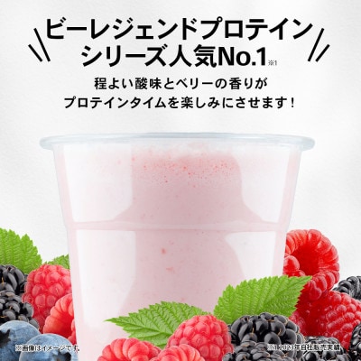 ビーレジェンド WPCプロテイン ベリベリベリー風味 1kg×10袋セット
