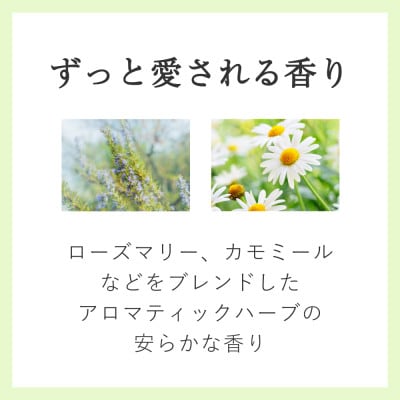 AYURA(アユーラ) メディテーションバスt 12本 ハンディバッグ付き