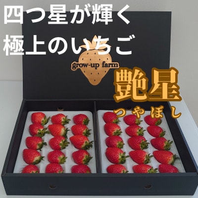 艶星(イチゴ)約700g～約800g「甘味、酸味、風味、旨味」四つ星級に美味!採れたてをお届けします